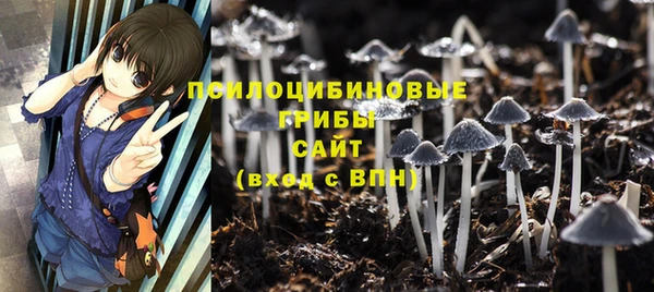 МДПВ Армянск