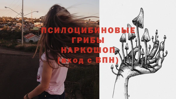 МДПВ Армянск